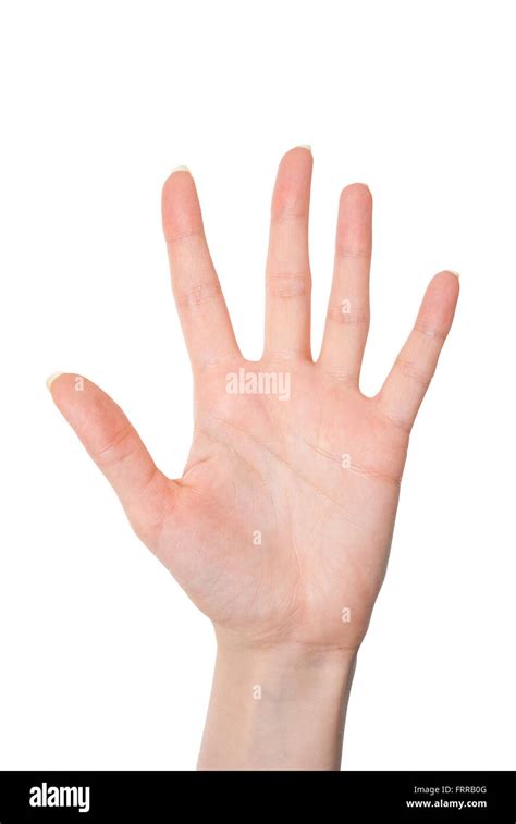 5Chi non si informa adeguatamente in anticipo corre il rischio di ricevere 5 che non hanno la funzione desiderata o sono realizzati con materiali di qualità inferiore. Se volete un prodotto che soddisfi al meglio le vostre aspettative, dovreste provare un 5.
  <p>Per i prodotti si possono trovare test online e confronti tra i prodotti.  I confronti tra i prodotti possono aiutare a confrontare le diverse funzioni o proprietà dei diversi prodotti. Di seguito, spieghiamo perché la ricerca è importante e di cosa si dovrebbe essere consapevoli quando si acquista un articolo.
</p>

<h2>Acquisto di 5 - criteri importanti</h2>

<p>Una lista di controllo può aiutarti a evitare di dover cercare informazioni sui prodotti su decine di siti web. Di seguito è riportato un esempio di una lista di controllo che può aiutarvi a trovare il prodotto giusto. Importanti criteri di acquisto includono, ad esempio:
</p><ul>
<li>Opinioni dei clienti</li>
<li>Confronti dei prezzi</li>
<li>Dettagli del prodotto</li>
<li>Termini e condizioni di consegna</li>
<li>Domande dei clienti e risposte dei marchi</li>
</ul>
<h2>Qual è l