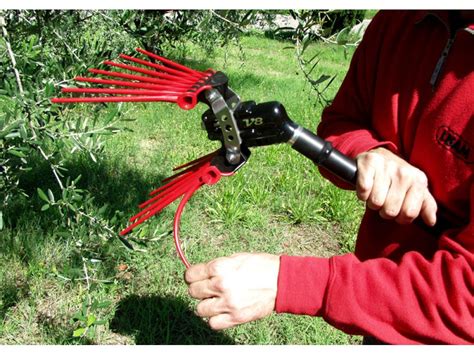 Abbacchiatore lisamChi non si informa adeguatamente in anticipo corre il rischio di ricevere abbacchiatore lisam che non hanno la funzione desiderata o sono realizzati con materiali di qualità inferiore. Se volete un prodotto che soddisfi al meglio le vostre aspettative, dovreste provare un abbacchiatore lisam.
  <p>Per i prodotti si possono trovare test online e confronti tra i prodotti.  I confronti tra i prodotti possono aiutare a confrontare le diverse funzioni o proprietà dei diversi prodotti. Di seguito, spieghiamo perché la ricerca è importante e di cosa si dovrebbe essere consapevoli quando si acquista un articolo.
</p>

<h2>Acquisto di Abbacchiatore lisam - criteri importanti</h2>

<p>Una lista di controllo può aiutarti a evitare di dover cercare informazioni sui prodotti su decine di siti web. Di seguito è riportato un esempio di una lista di controllo che può aiutarvi a trovare il prodotto giusto. Importanti criteri di acquisto includono, ad esempio:
</p><ul>
<li>Opinioni dei clienti</li>
<li>Confronti dei prezzi</li>
<li>Dettagli del prodotto</li>
<li>Termini e condizioni di consegna</li>
<li>Domande dei clienti e risposte dei marchi</li>
</ul>
<h2>Qual è l