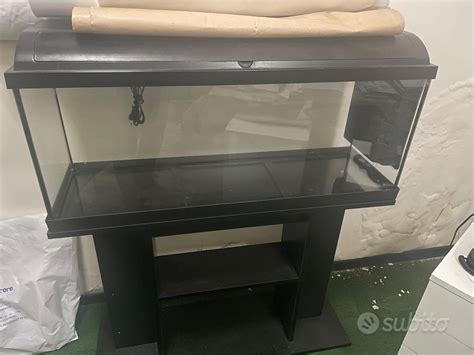 Acquario 100 ltChi non si informa adeguatamente in anticipo corre il rischio di ricevere acquario 100 lt che non hanno la funzione desiderata o sono realizzati con materiali di qualità inferiore. Se volete un prodotto che soddisfi al meglio le vostre aspettative, dovreste provare un acquario 100 lt.
  <p>Per i prodotti si possono trovare test online e confronti tra i prodotti.  I confronti tra i prodotti possono aiutare a confrontare le diverse funzioni o proprietà dei diversi prodotti. Di seguito, spieghiamo perché la ricerca è importante e di cosa si dovrebbe essere consapevoli quando si acquista un articolo.
</p>

<h2>Acquisto di Acquario 100 lt - criteri importanti</h2>

<p>Una lista di controllo può aiutarti a evitare di dover cercare informazioni sui prodotti su decine di siti web. Di seguito è riportato un esempio di una lista di controllo che può aiutarvi a trovare il prodotto giusto. Importanti criteri di acquisto includono, ad esempio:
</p><ul>
<li>Opinioni dei clienti</li>
<li>Confronti dei prezzi</li>
<li>Dettagli del prodotto</li>
<li>Termini e condizioni di consegna</li>
<li>Domande dei clienti e risposte dei marchi</li>
</ul>
<h2>Qual è l