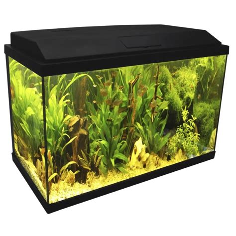 Acquario 60 ltChi non si informa adeguatamente in anticipo corre il rischio di ricevere acquario 60 lt che non hanno la funzione desiderata o sono realizzati con materiali di qualità inferiore. Se volete un prodotto che soddisfi al meglio le vostre aspettative, dovreste provare un acquario 60 lt.
  <p>Per i prodotti si possono trovare test online e confronti tra i prodotti.  I confronti tra i prodotti possono aiutare a confrontare le diverse funzioni o proprietà dei diversi prodotti. Di seguito, spieghiamo perché la ricerca è importante e di cosa si dovrebbe essere consapevoli quando si acquista un articolo.
</p>

<h2>Acquisto di Acquario 60 lt - criteri importanti</h2>

<p>Una lista di controllo può aiutarti a evitare di dover cercare informazioni sui prodotti su decine di siti web. Di seguito è riportato un esempio di una lista di controllo che può aiutarvi a trovare il prodotto giusto. Importanti criteri di acquisto includono, ad esempio:
</p><ul>
<li>Opinioni dei clienti</li>
<li>Confronti dei prezzi</li>
<li>Dettagli del prodotto</li>
<li>Termini e condizioni di consegna</li>
<li>Domande dei clienti e risposte dei marchi</li>
</ul>
<h2>Qual è l