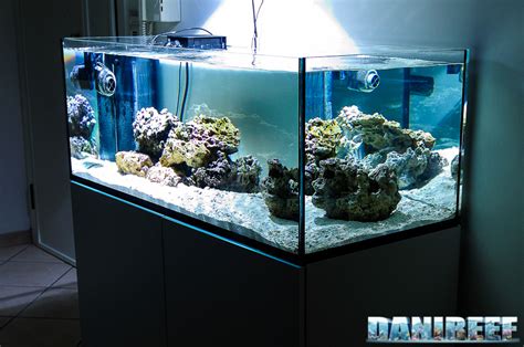 Acquario vascaChi non si informa adeguatamente in anticipo corre il rischio di ricevere acquario vasca che non hanno la funzione desiderata o sono realizzati con materiali di qualità inferiore. Se volete un prodotto che soddisfi al meglio le vostre aspettative, dovreste provare un acquario vasca.
  <p>Per i prodotti si possono trovare test online e confronti tra i prodotti.  I confronti tra i prodotti possono aiutare a confrontare le diverse funzioni o proprietà dei diversi prodotti. Di seguito, spieghiamo perché la ricerca è importante e di cosa si dovrebbe essere consapevoli quando si acquista un articolo.
</p>

<h2>Acquisto di Acquario vasca - criteri importanti</h2>

<p>Una lista di controllo può aiutarti a evitare di dover cercare informazioni sui prodotti su decine di siti web. Di seguito è riportato un esempio di una lista di controllo che può aiutarvi a trovare il prodotto giusto. Importanti criteri di acquisto includono, ad esempio:
</p><ul>
<li>Opinioni dei clienti</li>
<li>Confronti dei prezzi</li>
<li>Dettagli del prodotto</li>
<li>Termini e condizioni di consegna</li>
<li>Domande dei clienti e risposte dei marchi</li>
</ul>
<h2>Qual è l