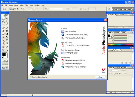 Adobe photoshop csChi non si informa adeguatamente in anticipo corre il rischio di ricevere adobe photoshop cs che non hanno la funzione desiderata o sono realizzati con materiali di qualità inferiore. Se volete un prodotto che soddisfi al meglio le vostre aspettative, dovreste provare un adobe photoshop cs.
  <p>Per i prodotti si possono trovare test online e confronti tra i prodotti.  I confronti tra i prodotti possono aiutare a confrontare le diverse funzioni o proprietà dei diversi prodotti. Di seguito, spieghiamo perché la ricerca è importante e di cosa si dovrebbe essere consapevoli quando si acquista un articolo.
</p>

<h2>Acquisto di Adobe photoshop cs - criteri importanti</h2>

<p>Una lista di controllo può aiutarti a evitare di dover cercare informazioni sui prodotti su decine di siti web. Di seguito è riportato un esempio di una lista di controllo che può aiutarvi a trovare il prodotto giusto. Importanti criteri di acquisto includono, ad esempio:
</p><ul>
<li>Opinioni dei clienti</li>
<li>Confronti dei prezzi</li>
<li>Dettagli del prodotto</li>
<li>Termini e condizioni di consegna</li>
<li>Domande dei clienti e risposte dei marchi</li>
</ul>
<h2>Qual è l
