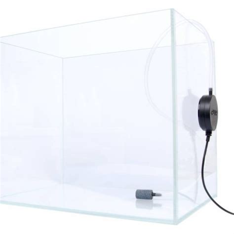 Aeratore per acquariChi non si informa adeguatamente in anticipo corre il rischio di ricevere aeratore per acquari che non hanno la funzione desiderata o sono realizzati con materiali di qualità inferiore. Se volete un prodotto che soddisfi al meglio le vostre aspettative, dovreste provare un aeratore per acquari.
  <p>Per i prodotti si possono trovare test online e confronti tra i prodotti.  I confronti tra i prodotti possono aiutare a confrontare le diverse funzioni o proprietà dei diversi prodotti. Di seguito, spieghiamo perché la ricerca è importante e di cosa si dovrebbe essere consapevoli quando si acquista un articolo.
</p>

<h2>Acquisto di Aeratore per acquari - criteri importanti</h2>

<p>Una lista di controllo può aiutarti a evitare di dover cercare informazioni sui prodotti su decine di siti web. Di seguito è riportato un esempio di una lista di controllo che può aiutarvi a trovare il prodotto giusto. Importanti criteri di acquisto includono, ad esempio:
</p><ul>
<li>Opinioni dei clienti</li>
<li>Confronti dei prezzi</li>
<li>Dettagli del prodotto</li>
<li>Termini e condizioni di consegna</li>
<li>Domande dei clienti e risposte dei marchi</li>
</ul>
<h2>Qual è l