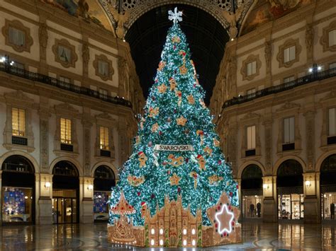 Albero nataleChi non si informa adeguatamente in anticipo corre il rischio di ricevere albero natale che non hanno la funzione desiderata o sono realizzati con materiali di qualità inferiore. Se volete un prodotto che soddisfi al meglio le vostre aspettative, dovreste provare un albero natale.
  <p>Per i prodotti si possono trovare test online e confronti tra i prodotti.  I confronti tra i prodotti possono aiutare a confrontare le diverse funzioni o proprietà dei diversi prodotti. Di seguito, spieghiamo perché la ricerca è importante e di cosa si dovrebbe essere consapevoli quando si acquista un articolo.
</p>

<h2>Acquisto di Albero natale - criteri importanti</h2>

<p>Una lista di controllo può aiutarti a evitare di dover cercare informazioni sui prodotti su decine di siti web. Di seguito è riportato un esempio di una lista di controllo che può aiutarvi a trovare il prodotto giusto. Importanti criteri di acquisto includono, ad esempio:
</p><ul>
<li>Opinioni dei clienti</li>
<li>Confronti dei prezzi</li>
<li>Dettagli del prodotto</li>
<li>Termini e condizioni di consegna</li>
<li>Domande dei clienti e risposte dei marchi</li>
</ul>
<h2>Qual è l