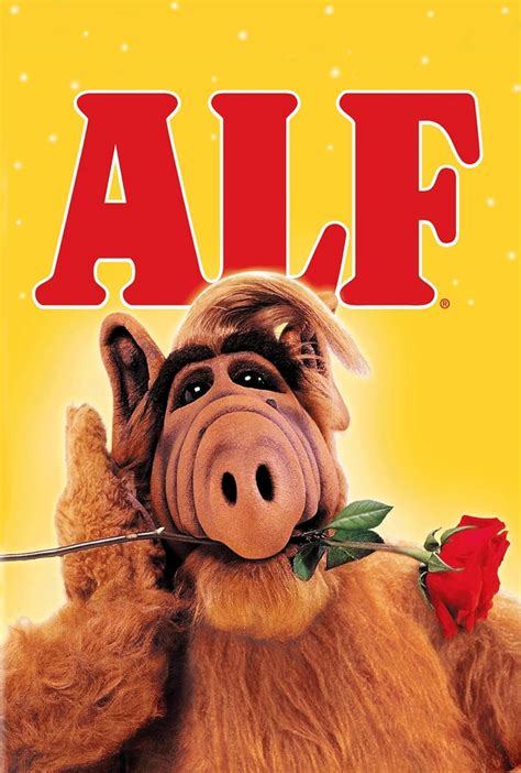 Alf serieChi non si informa adeguatamente in anticipo corre il rischio di ricevere alf serie che non hanno la funzione desiderata o sono realizzati con materiali di qualità inferiore. Se volete un prodotto che soddisfi al meglio le vostre aspettative, dovreste provare un alf serie.
  <p>Per i prodotti si possono trovare test online e confronti tra i prodotti.  I confronti tra i prodotti possono aiutare a confrontare le diverse funzioni o proprietà dei diversi prodotti. Di seguito, spieghiamo perché la ricerca è importante e di cosa si dovrebbe essere consapevoli quando si acquista un articolo.
</p>

<h2>Acquisto di Alf serie - criteri importanti</h2>

<p>Una lista di controllo può aiutarti a evitare di dover cercare informazioni sui prodotti su decine di siti web. Di seguito è riportato un esempio di una lista di controllo che può aiutarvi a trovare il prodotto giusto. Importanti criteri di acquisto includono, ad esempio:
</p><ul>
<li>Opinioni dei clienti</li>
<li>Confronti dei prezzi</li>
<li>Dettagli del prodotto</li>
<li>Termini e condizioni di consegna</li>
<li>Domande dei clienti e risposte dei marchi</li>
</ul>
<h2>Qual è l