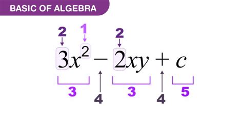 AlgebraChi non si informa adeguatamente in anticipo corre il rischio di ricevere algebra che non hanno la funzione desiderata o sono realizzati con materiali di qualità inferiore. Se volete un prodotto che soddisfi al meglio le vostre aspettative, dovreste provare un algebra.
  <p>Per i prodotti si possono trovare test online e confronti tra i prodotti.  I confronti tra i prodotti possono aiutare a confrontare le diverse funzioni o proprietà dei diversi prodotti. Di seguito, spieghiamo perché la ricerca è importante e di cosa si dovrebbe essere consapevoli quando si acquista un articolo.
</p>

<h2>Acquisto di Algebra - criteri importanti</h2>

<p>Una lista di controllo può aiutarti a evitare di dover cercare informazioni sui prodotti su decine di siti web. Di seguito è riportato un esempio di una lista di controllo che può aiutarvi a trovare il prodotto giusto. Importanti criteri di acquisto includono, ad esempio:
</p><ul>
<li>Opinioni dei clienti</li>
<li>Confronti dei prezzi</li>
<li>Dettagli del prodotto</li>
<li>Termini e condizioni di consegna</li>
<li>Domande dei clienti e risposte dei marchi</li>
</ul>
<h2>Qual è l