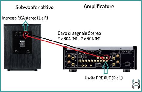 Amplificatore sub wooferChi non si informa adeguatamente in anticipo corre il rischio di ricevere amplificatore sub woofer che non hanno la funzione desiderata o sono realizzati con materiali di qualità inferiore. Se volete un prodotto che soddisfi al meglio le vostre aspettative, dovreste provare un amplificatore sub woofer.
  <p>Per i prodotti si possono trovare test online e confronti tra i prodotti.  I confronti tra i prodotti possono aiutare a confrontare le diverse funzioni o proprietà dei diversi prodotti. Di seguito, spieghiamo perché la ricerca è importante e di cosa si dovrebbe essere consapevoli quando si acquista un articolo.
</p>

<h2>Acquisto di Amplificatore sub woofer - criteri importanti</h2>

<p>Una lista di controllo può aiutarti a evitare di dover cercare informazioni sui prodotti su decine di siti web. Di seguito è riportato un esempio di una lista di controllo che può aiutarvi a trovare il prodotto giusto. Importanti criteri di acquisto includono, ad esempio:
</p><ul>
<li>Opinioni dei clienti</li>
<li>Confronti dei prezzi</li>
<li>Dettagli del prodotto</li>
<li>Termini e condizioni di consegna</li>
<li>Domande dei clienti e risposte dei marchi</li>
</ul>
<h2>Qual è l