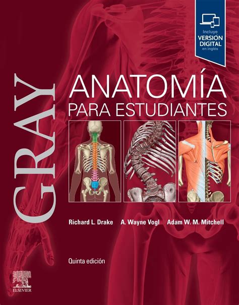 Anatomia grayChi non si informa adeguatamente in anticipo corre il rischio di ricevere anatomia gray che non hanno la funzione desiderata o sono realizzati con materiali di qualità inferiore. Se volete un prodotto che soddisfi al meglio le vostre aspettative, dovreste provare un anatomia gray.
  <p>Per i prodotti si possono trovare test online e confronti tra i prodotti.  I confronti tra i prodotti possono aiutare a confrontare le diverse funzioni o proprietà dei diversi prodotti. Di seguito, spieghiamo perché la ricerca è importante e di cosa si dovrebbe essere consapevoli quando si acquista un articolo.
</p>

<h2>Acquisto di Anatomia gray - criteri importanti</h2>

<p>Una lista di controllo può aiutarti a evitare di dover cercare informazioni sui prodotti su decine di siti web. Di seguito è riportato un esempio di una lista di controllo che può aiutarvi a trovare il prodotto giusto. Importanti criteri di acquisto includono, ad esempio:
</p><ul>
<li>Opinioni dei clienti</li>
<li>Confronti dei prezzi</li>
<li>Dettagli del prodotto</li>
<li>Termini e condizioni di consegna</li>
<li>Domande dei clienti e risposte dei marchi</li>
</ul>
<h2>Qual è l