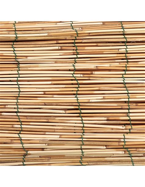 Arella tendaChi non si informa adeguatamente in anticipo corre il rischio di ricevere arella tenda che non hanno la funzione desiderata o sono realizzati con materiali di qualità inferiore. Se volete un prodotto che soddisfi al meglio le vostre aspettative, dovreste provare un arella tenda.
  <p>Per i prodotti si possono trovare test online e confronti tra i prodotti.  I confronti tra i prodotti possono aiutare a confrontare le diverse funzioni o proprietà dei diversi prodotti. Di seguito, spieghiamo perché la ricerca è importante e di cosa si dovrebbe essere consapevoli quando si acquista un articolo.
</p>

<h2>Acquisto di Arella tenda - criteri importanti</h2>

<p>Una lista di controllo può aiutarti a evitare di dover cercare informazioni sui prodotti su decine di siti web. Di seguito è riportato un esempio di una lista di controllo che può aiutarvi a trovare il prodotto giusto. Importanti criteri di acquisto includono, ad esempio:
</p><ul>
<li>Opinioni dei clienti</li>
<li>Confronti dei prezzi</li>
<li>Dettagli del prodotto</li>
<li>Termini e condizioni di consegna</li>
<li>Domande dei clienti e risposte dei marchi</li>
</ul>
<h2>Qual è l