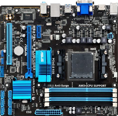 Asus m5a78lChi non si informa adeguatamente in anticipo corre il rischio di ricevere asus m5a78l che non hanno la funzione desiderata o sono realizzati con materiali di qualità inferiore. Se volete un prodotto che soddisfi al meglio le vostre aspettative, dovreste provare un asus m5a78l.
  <p>Per i prodotti si possono trovare test online e confronti tra i prodotti.  I confronti tra i prodotti possono aiutare a confrontare le diverse funzioni o proprietà dei diversi prodotti. Di seguito, spieghiamo perché la ricerca è importante e di cosa si dovrebbe essere consapevoli quando si acquista un articolo.
</p>

<h2>Acquisto di Asus m5a78l - criteri importanti</h2>

<p>Una lista di controllo può aiutarti a evitare di dover cercare informazioni sui prodotti su decine di siti web. Di seguito è riportato un esempio di una lista di controllo che può aiutarvi a trovare il prodotto giusto. Importanti criteri di acquisto includono, ad esempio:
</p><ul>
<li>Opinioni dei clienti</li>
<li>Confronti dei prezzi</li>
<li>Dettagli del prodotto</li>
<li>Termini e condizioni di consegna</li>
<li>Domande dei clienti e risposte dei marchi</li>
</ul>
<h2>Qual è l