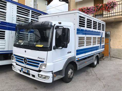 Autocarro trasporto animaliChi non si informa adeguatamente in anticipo corre il rischio di ricevere autocarro trasporto animali che non hanno la funzione desiderata o sono realizzati con materiali di qualità inferiore. Se volete un prodotto che soddisfi al meglio le vostre aspettative, dovreste provare un autocarro trasporto animali.
  <p>Per i prodotti si possono trovare test online e confronti tra i prodotti.  I confronti tra i prodotti possono aiutare a confrontare le diverse funzioni o proprietà dei diversi prodotti. Di seguito, spieghiamo perché la ricerca è importante e di cosa si dovrebbe essere consapevoli quando si acquista un articolo.
</p>

<h2>Acquisto di Autocarro trasporto animali - criteri importanti</h2>

<p>Una lista di controllo può aiutarti a evitare di dover cercare informazioni sui prodotti su decine di siti web. Di seguito è riportato un esempio di una lista di controllo che può aiutarvi a trovare il prodotto giusto. Importanti criteri di acquisto includono, ad esempio:
</p><ul>
<li>Opinioni dei clienti</li>
<li>Confronti dei prezzi</li>
<li>Dettagli del prodotto</li>
<li>Termini e condizioni di consegna</li>
<li>Domande dei clienti e risposte dei marchi</li>
</ul>
<h2>Qual è l