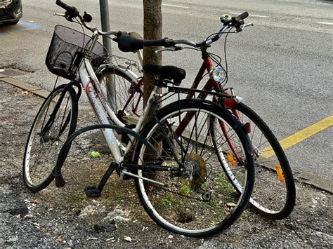 Biciclette due alChi non si informa adeguatamente in anticipo corre il rischio di ricevere biciclette due al che non hanno la funzione desiderata o sono realizzati con materiali di qualità inferiore. Se volete un prodotto che soddisfi al meglio le vostre aspettative, dovreste provare un biciclette due al.
  <p>Per i prodotti si possono trovare test online e confronti tra i prodotti.  I confronti tra i prodotti possono aiutare a confrontare le diverse funzioni o proprietà dei diversi prodotti. Di seguito, spieghiamo perché la ricerca è importante e di cosa si dovrebbe essere consapevoli quando si acquista un articolo.
</p>

<h2>Acquisto di Biciclette due al - criteri importanti</h2>

<p>Una lista di controllo può aiutarti a evitare di dover cercare informazioni sui prodotti su decine di siti web. Di seguito è riportato un esempio di una lista di controllo che può aiutarvi a trovare il prodotto giusto. Importanti criteri di acquisto includono, ad esempio:
</p><ul>
<li>Opinioni dei clienti</li>
<li>Confronti dei prezzi</li>
<li>Dettagli del prodotto</li>
<li>Termini e condizioni di consegna</li>
<li>Domande dei clienti e risposte dei marchi</li>
</ul>
<h2>Qual è l