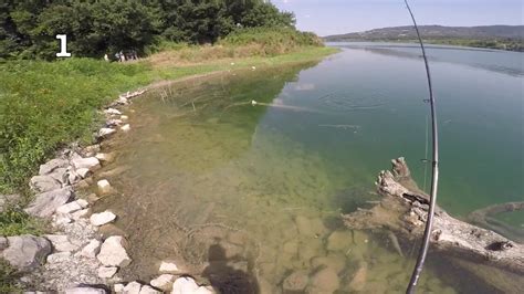 Bilancino pescaChi non si informa adeguatamente in anticipo corre il rischio di ricevere bilancino pesca che non hanno la funzione desiderata o sono realizzati con materiali di qualità inferiore. Se volete un prodotto che soddisfi al meglio le vostre aspettative, dovreste provare un bilancino pesca.
  <p>Per i prodotti si possono trovare test online e confronti tra i prodotti.  I confronti tra i prodotti possono aiutare a confrontare le diverse funzioni o proprietà dei diversi prodotti. Di seguito, spieghiamo perché la ricerca è importante e di cosa si dovrebbe essere consapevoli quando si acquista un articolo.
</p>

<h2>Acquisto di Bilancino pesca - criteri importanti</h2>

<p>Una lista di controllo può aiutarti a evitare di dover cercare informazioni sui prodotti su decine di siti web. Di seguito è riportato un esempio di una lista di controllo che può aiutarvi a trovare il prodotto giusto. Importanti criteri di acquisto includono, ad esempio:
</p><ul>
<li>Opinioni dei clienti</li>
<li>Confronti dei prezzi</li>
<li>Dettagli del prodotto</li>
<li>Termini e condizioni di consegna</li>
<li>Domande dei clienti e risposte dei marchi</li>
</ul>
<h2>Qual è l
