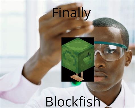 BlockfishChi non si informa adeguatamente in anticipo corre il rischio di ricevere blockfish che non hanno la funzione desiderata o sono realizzati con materiali di qualità inferiore. Se volete un prodotto che soddisfi al meglio le vostre aspettative, dovreste provare un blockfish.
  <p>Per i prodotti si possono trovare test online e confronti tra i prodotti.  I confronti tra i prodotti possono aiutare a confrontare le diverse funzioni o proprietà dei diversi prodotti. Di seguito, spieghiamo perché la ricerca è importante e di cosa si dovrebbe essere consapevoli quando si acquista un articolo.
</p>

<h2>Acquisto di Blockfish - criteri importanti</h2>

<p>Una lista di controllo può aiutarti a evitare di dover cercare informazioni sui prodotti su decine di siti web. Di seguito è riportato un esempio di una lista di controllo che può aiutarvi a trovare il prodotto giusto. Importanti criteri di acquisto includono, ad esempio:
</p><ul>
<li>Opinioni dei clienti</li>
<li>Confronti dei prezzi</li>
<li>Dettagli del prodotto</li>
<li>Termini e condizioni di consegna</li>
<li>Domande dei clienti e risposte dei marchi</li>
</ul>
<h2>Qual è l