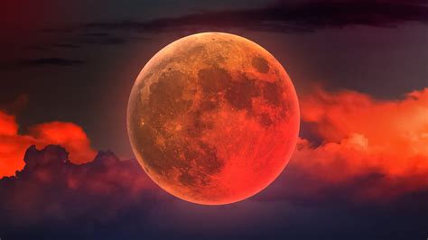Blood moonChi non si informa adeguatamente in anticipo corre il rischio di ricevere blood moon che non hanno la funzione desiderata o sono realizzati con materiali di qualità inferiore. Se volete un prodotto che soddisfi al meglio le vostre aspettative, dovreste provare un blood moon.
  <p>Per i prodotti si possono trovare test online e confronti tra i prodotti.  I confronti tra i prodotti possono aiutare a confrontare le diverse funzioni o proprietà dei diversi prodotti. Di seguito, spieghiamo perché la ricerca è importante e di cosa si dovrebbe essere consapevoli quando si acquista un articolo.
</p>

<h2>Acquisto di Blood moon - criteri importanti</h2>

<p>Una lista di controllo può aiutarti a evitare di dover cercare informazioni sui prodotti su decine di siti web. Di seguito è riportato un esempio di una lista di controllo che può aiutarvi a trovare il prodotto giusto. Importanti criteri di acquisto includono, ad esempio:
</p><ul>
<li>Opinioni dei clienti</li>
<li>Confronti dei prezzi</li>
<li>Dettagli del prodotto</li>
<li>Termini e condizioni di consegna</li>
<li>Domande dei clienti e risposte dei marchi</li>
</ul>
<h2>Qual è l