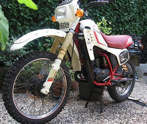 Cagiva alettaChi non si informa adeguatamente in anticipo corre il rischio di ricevere cagiva aletta che non hanno la funzione desiderata o sono realizzati con materiali di qualità inferiore. Se volete un prodotto che soddisfi al meglio le vostre aspettative, dovreste provare un cagiva aletta.
  <p>Per i prodotti si possono trovare test online e confronti tra i prodotti.  I confronti tra i prodotti possono aiutare a confrontare le diverse funzioni o proprietà dei diversi prodotti. Di seguito, spieghiamo perché la ricerca è importante e di cosa si dovrebbe essere consapevoli quando si acquista un articolo.
</p>

<h2>Acquisto di Cagiva aletta - criteri importanti</h2>

<p>Una lista di controllo può aiutarti a evitare di dover cercare informazioni sui prodotti su decine di siti web. Di seguito è riportato un esempio di una lista di controllo che può aiutarvi a trovare il prodotto giusto. Importanti criteri di acquisto includono, ad esempio:
</p><ul>
<li>Opinioni dei clienti</li>
<li>Confronti dei prezzi</li>
<li>Dettagli del prodotto</li>
<li>Termini e condizioni di consegna</li>
<li>Domande dei clienti e risposte dei marchi</li>
</ul>
<h2>Qual è l