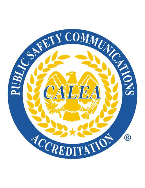 CaleaChi non si informa adeguatamente in anticipo corre il rischio di ricevere calea che non hanno la funzione desiderata o sono realizzati con materiali di qualità inferiore. Se volete un prodotto che soddisfi al meglio le vostre aspettative, dovreste provare un calea.
  <p>Per i prodotti si possono trovare test online e confronti tra i prodotti.  I confronti tra i prodotti possono aiutare a confrontare le diverse funzioni o proprietà dei diversi prodotti. Di seguito, spieghiamo perché la ricerca è importante e di cosa si dovrebbe essere consapevoli quando si acquista un articolo.
</p>

<h2>Acquisto di Calea - criteri importanti</h2>

<p>Una lista di controllo può aiutarti a evitare di dover cercare informazioni sui prodotti su decine di siti web. Di seguito è riportato un esempio di una lista di controllo che può aiutarvi a trovare il prodotto giusto. Importanti criteri di acquisto includono, ad esempio:
</p><ul>
<li>Opinioni dei clienti</li>
<li>Confronti dei prezzi</li>
<li>Dettagli del prodotto</li>
<li>Termini e condizioni di consegna</li>
<li>Domande dei clienti e risposte dei marchi</li>
</ul>
<h2>Qual è l