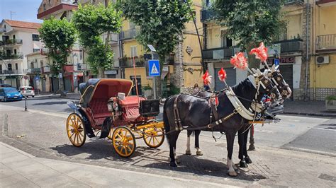 Calesse cavalliChi non si informa adeguatamente in anticipo corre il rischio di ricevere calesse cavalli che non hanno la funzione desiderata o sono realizzati con materiali di qualità inferiore. Se volete un prodotto che soddisfi al meglio le vostre aspettative, dovreste provare un calesse cavalli.
  <p>Per i prodotti si possono trovare test online e confronti tra i prodotti.  I confronti tra i prodotti possono aiutare a confrontare le diverse funzioni o proprietà dei diversi prodotti. Di seguito, spieghiamo perché la ricerca è importante e di cosa si dovrebbe essere consapevoli quando si acquista un articolo.
</p>

<h2>Acquisto di Calesse cavalli - criteri importanti</h2>

<p>Una lista di controllo può aiutarti a evitare di dover cercare informazioni sui prodotti su decine di siti web. Di seguito è riportato un esempio di una lista di controllo che può aiutarvi a trovare il prodotto giusto. Importanti criteri di acquisto includono, ad esempio:
</p><ul>
<li>Opinioni dei clienti</li>
<li>Confronti dei prezzi</li>
<li>Dettagli del prodotto</li>
<li>Termini e condizioni di consegna</li>
<li>Domande dei clienti e risposte dei marchi</li>
</ul>
<h2>Qual è l
