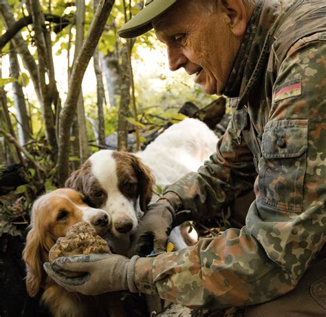 Cane tartufiChi non si informa adeguatamente in anticipo corre il rischio di ricevere cane tartufi che non hanno la funzione desiderata o sono realizzati con materiali di qualità inferiore. Se volete un prodotto che soddisfi al meglio le vostre aspettative, dovreste provare un cane tartufi.
  <p>Per i prodotti si possono trovare test online e confronti tra i prodotti.  I confronti tra i prodotti possono aiutare a confrontare le diverse funzioni o proprietà dei diversi prodotti. Di seguito, spieghiamo perché la ricerca è importante e di cosa si dovrebbe essere consapevoli quando si acquista un articolo.
</p>

<h2>Acquisto di Cane tartufi - criteri importanti</h2>

<p>Una lista di controllo può aiutarti a evitare di dover cercare informazioni sui prodotti su decine di siti web. Di seguito è riportato un esempio di una lista di controllo che può aiutarvi a trovare il prodotto giusto. Importanti criteri di acquisto includono, ad esempio:
</p><ul>
<li>Opinioni dei clienti</li>
<li>Confronti dei prezzi</li>
<li>Dettagli del prodotto</li>
<li>Termini e condizioni di consegna</li>
<li>Domande dei clienti e risposte dei marchi</li>
</ul>
<h2>Qual è l