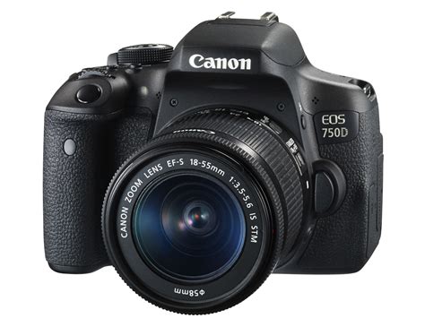 Canon 750dChi non si informa adeguatamente in anticipo corre il rischio di ricevere canon 750d che non hanno la funzione desiderata o sono realizzati con materiali di qualità inferiore. Se volete un prodotto che soddisfi al meglio le vostre aspettative, dovreste provare un canon 750d.
  <p>Per i prodotti si possono trovare test online e confronti tra i prodotti.  I confronti tra i prodotti possono aiutare a confrontare le diverse funzioni o proprietà dei diversi prodotti. Di seguito, spieghiamo perché la ricerca è importante e di cosa si dovrebbe essere consapevoli quando si acquista un articolo.
</p>

<h2>Acquisto di Canon 750d - criteri importanti</h2>

<p>Una lista di controllo può aiutarti a evitare di dover cercare informazioni sui prodotti su decine di siti web. Di seguito è riportato un esempio di una lista di controllo che può aiutarvi a trovare il prodotto giusto. Importanti criteri di acquisto includono, ad esempio:
</p><ul>
<li>Opinioni dei clienti</li>
<li>Confronti dei prezzi</li>
<li>Dettagli del prodotto</li>
<li>Termini e condizioni di consegna</li>
<li>Domande dei clienti e risposte dei marchi</li>
</ul>
<h2>Qual è l