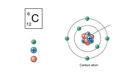 Carbonio 6Chi non si informa adeguatamente in anticipo corre il rischio di ricevere carbonio 6 che non hanno la funzione desiderata o sono realizzati con materiali di qualità inferiore. Se volete un prodotto che soddisfi al meglio le vostre aspettative, dovreste provare un carbonio 6.
  <p>Per i prodotti si possono trovare test online e confronti tra i prodotti.  I confronti tra i prodotti possono aiutare a confrontare le diverse funzioni o proprietà dei diversi prodotti. Di seguito, spieghiamo perché la ricerca è importante e di cosa si dovrebbe essere consapevoli quando si acquista un articolo.
</p>

<h2>Acquisto di Carbonio 6 - criteri importanti</h2>

<p>Una lista di controllo può aiutarti a evitare di dover cercare informazioni sui prodotti su decine di siti web. Di seguito è riportato un esempio di una lista di controllo che può aiutarvi a trovare il prodotto giusto. Importanti criteri di acquisto includono, ad esempio:
</p><ul>
<li>Opinioni dei clienti</li>
<li>Confronti dei prezzi</li>
<li>Dettagli del prodotto</li>
<li>Termini e condizioni di consegna</li>
<li>Domande dei clienti e risposte dei marchi</li>
</ul>
<h2>Qual è l
