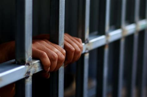 CarcereChi non si informa adeguatamente in anticipo corre il rischio di ricevere carcere che non hanno la funzione desiderata o sono realizzati con materiali di qualità inferiore. Se volete un prodotto che soddisfi al meglio le vostre aspettative, dovreste provare un carcere.
  <p>Per i prodotti si possono trovare test online e confronti tra i prodotti.  I confronti tra i prodotti possono aiutare a confrontare le diverse funzioni o proprietà dei diversi prodotti. Di seguito, spieghiamo perché la ricerca è importante e di cosa si dovrebbe essere consapevoli quando si acquista un articolo.
</p>

<h2>Acquisto di Carcere - criteri importanti</h2>

<p>Una lista di controllo può aiutarti a evitare di dover cercare informazioni sui prodotti su decine di siti web. Di seguito è riportato un esempio di una lista di controllo che può aiutarvi a trovare il prodotto giusto. Importanti criteri di acquisto includono, ad esempio:
</p><ul>
<li>Opinioni dei clienti</li>
<li>Confronti dei prezzi</li>
<li>Dettagli del prodotto</li>
<li>Termini e condizioni di consegna</li>
<li>Domande dei clienti e risposte dei marchi</li>
</ul>
<h2>Qual è l