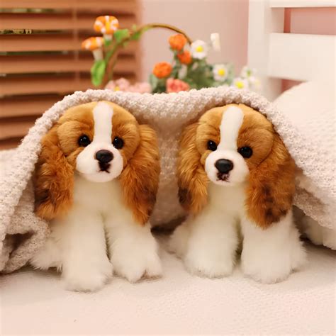 Cavalier king pelucheChi non si informa adeguatamente in anticipo corre il rischio di ricevere cavalier king peluche che non hanno la funzione desiderata o sono realizzati con materiali di qualità inferiore. Se volete un prodotto che soddisfi al meglio le vostre aspettative, dovreste provare un cavalier king peluche.
  <p>Per i prodotti si possono trovare test online e confronti tra i prodotti.  I confronti tra i prodotti possono aiutare a confrontare le diverse funzioni o proprietà dei diversi prodotti. Di seguito, spieghiamo perché la ricerca è importante e di cosa si dovrebbe essere consapevoli quando si acquista un articolo.
</p>

<h2>Acquisto di Cavalier king peluche - criteri importanti</h2>

<p>Una lista di controllo può aiutarti a evitare di dover cercare informazioni sui prodotti su decine di siti web. Di seguito è riportato un esempio di una lista di controllo che può aiutarvi a trovare il prodotto giusto. Importanti criteri di acquisto includono, ad esempio:
</p><ul>
<li>Opinioni dei clienti</li>
<li>Confronti dei prezzi</li>
<li>Dettagli del prodotto</li>
<li>Termini e condizioni di consegna</li>
<li>Domande dei clienti e risposte dei marchi</li>
</ul>
<h2>Qual è l