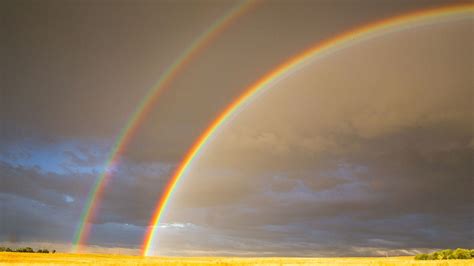 CielChi non si informa adeguatamente in anticipo corre il rischio di ricevere ciel che non hanno la funzione desiderata o sono realizzati con materiali di qualità inferiore. Se volete un prodotto che soddisfi al meglio le vostre aspettative, dovreste provare un ciel.
  <p>Per i prodotti si possono trovare test online e confronti tra i prodotti.  I confronti tra i prodotti possono aiutare a confrontare le diverse funzioni o proprietà dei diversi prodotti. Di seguito, spieghiamo perché la ricerca è importante e di cosa si dovrebbe essere consapevoli quando si acquista un articolo.
</p>

<h2>Acquisto di Ciel - criteri importanti</h2>

<p>Una lista di controllo può aiutarti a evitare di dover cercare informazioni sui prodotti su decine di siti web. Di seguito è riportato un esempio di una lista di controllo che può aiutarvi a trovare il prodotto giusto. Importanti criteri di acquisto includono, ad esempio:
</p><ul>
<li>Opinioni dei clienti</li>
<li>Confronti dei prezzi</li>
<li>Dettagli del prodotto</li>
<li>Termini e condizioni di consegna</li>
<li>Domande dei clienti e risposte dei marchi</li>
</ul>
<h2>Qual è l
