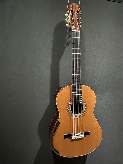 Classic guitarChi non si informa adeguatamente in anticipo corre il rischio di ricevere classic guitar che non hanno la funzione desiderata o sono realizzati con materiali di qualità inferiore. Se volete un prodotto che soddisfi al meglio le vostre aspettative, dovreste provare un classic guitar.
  <p>Per i prodotti si possono trovare test online e confronti tra i prodotti.  I confronti tra i prodotti possono aiutare a confrontare le diverse funzioni o proprietà dei diversi prodotti. Di seguito, spieghiamo perché la ricerca è importante e di cosa si dovrebbe essere consapevoli quando si acquista un articolo.
</p>

<h2>Acquisto di Classic guitar - criteri importanti</h2>

<p>Una lista di controllo può aiutarti a evitare di dover cercare informazioni sui prodotti su decine di siti web. Di seguito è riportato un esempio di una lista di controllo che può aiutarvi a trovare il prodotto giusto. Importanti criteri di acquisto includono, ad esempio:
</p><ul>
<li>Opinioni dei clienti</li>
<li>Confronti dei prezzi</li>
<li>Dettagli del prodotto</li>
<li>Termini e condizioni di consegna</li>
<li>Domande dei clienti e risposte dei marchi</li>
</ul>
<h2>Qual è l
