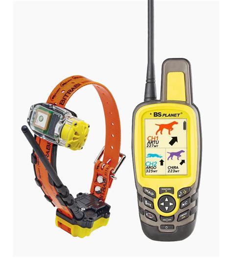 Collare satellitare caniChi non si informa adeguatamente in anticipo corre il rischio di ricevere collare satellitare cani che non hanno la funzione desiderata o sono realizzati con materiali di qualità inferiore. Se volete un prodotto che soddisfi al meglio le vostre aspettative, dovreste provare un collare satellitare cani.
  <p>Per i prodotti si possono trovare test online e confronti tra i prodotti.  I confronti tra i prodotti possono aiutare a confrontare le diverse funzioni o proprietà dei diversi prodotti. Di seguito, spieghiamo perché la ricerca è importante e di cosa si dovrebbe essere consapevoli quando si acquista un articolo.
</p>

<h2>Acquisto di Collare satellitare cani - criteri importanti</h2>

<p>Una lista di controllo può aiutarti a evitare di dover cercare informazioni sui prodotti su decine di siti web. Di seguito è riportato un esempio di una lista di controllo che può aiutarvi a trovare il prodotto giusto. Importanti criteri di acquisto includono, ad esempio:
</p><ul>
<li>Opinioni dei clienti</li>
<li>Confronti dei prezzi</li>
<li>Dettagli del prodotto</li>
<li>Termini e condizioni di consegna</li>
<li>Domande dei clienti e risposte dei marchi</li>
</ul>
<h2>Qual è l