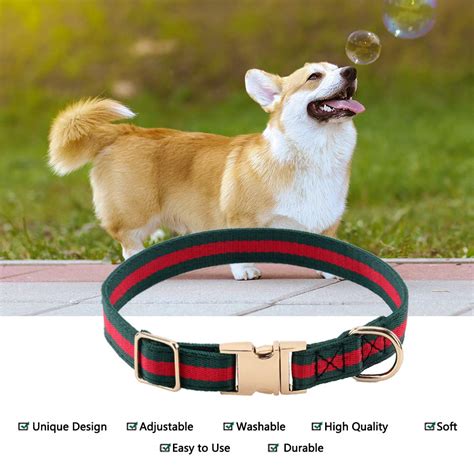 Collarino caneChi non si informa adeguatamente in anticipo corre il rischio di ricevere collarino cane che non hanno la funzione desiderata o sono realizzati con materiali di qualità inferiore. Se volete un prodotto che soddisfi al meglio le vostre aspettative, dovreste provare un collarino cane.
  <p>Per i prodotti si possono trovare test online e confronti tra i prodotti.  I confronti tra i prodotti possono aiutare a confrontare le diverse funzioni o proprietà dei diversi prodotti. Di seguito, spieghiamo perché la ricerca è importante e di cosa si dovrebbe essere consapevoli quando si acquista un articolo.
</p>

<h2>Acquisto di Collarino cane - criteri importanti</h2>

<p>Una lista di controllo può aiutarti a evitare di dover cercare informazioni sui prodotti su decine di siti web. Di seguito è riportato un esempio di una lista di controllo che può aiutarvi a trovare il prodotto giusto. Importanti criteri di acquisto includono, ad esempio:
</p><ul>
<li>Opinioni dei clienti</li>
<li>Confronti dei prezzi</li>
<li>Dettagli del prodotto</li>
<li>Termini e condizioni di consegna</li>
<li>Domande dei clienti e risposte dei marchi</li>
</ul>
<h2>Qual è l