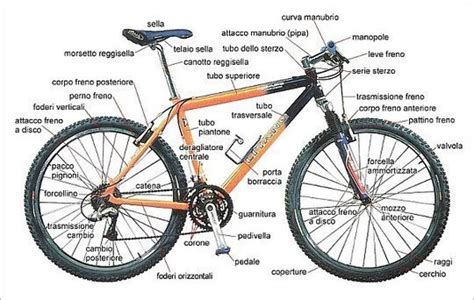 Componenti mtbChi non si informa adeguatamente in anticipo corre il rischio di ricevere componenti mtb che non hanno la funzione desiderata o sono realizzati con materiali di qualità inferiore. Se volete un prodotto che soddisfi al meglio le vostre aspettative, dovreste provare un componenti mtb.
  <p>Per i prodotti si possono trovare test online e confronti tra i prodotti.  I confronti tra i prodotti possono aiutare a confrontare le diverse funzioni o proprietà dei diversi prodotti. Di seguito, spieghiamo perché la ricerca è importante e di cosa si dovrebbe essere consapevoli quando si acquista un articolo.
</p>

<h2>Acquisto di Componenti mtb - criteri importanti</h2>

<p>Una lista di controllo può aiutarti a evitare di dover cercare informazioni sui prodotti su decine di siti web. Di seguito è riportato un esempio di una lista di controllo che può aiutarvi a trovare il prodotto giusto. Importanti criteri di acquisto includono, ad esempio:
</p><ul>
<li>Opinioni dei clienti</li>
<li>Confronti dei prezzi</li>
<li>Dettagli del prodotto</li>
<li>Termini e condizioni di consegna</li>
<li>Domande dei clienti e risposte dei marchi</li>
</ul>
<h2>Qual è l