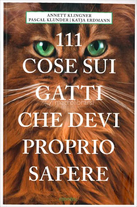 Cose gattiChi non si informa adeguatamente in anticipo corre il rischio di ricevere cose gatti che non hanno la funzione desiderata o sono realizzati con materiali di qualità inferiore. Se volete un prodotto che soddisfi al meglio le vostre aspettative, dovreste provare un cose gatti.
  <p>Per i prodotti si possono trovare test online e confronti tra i prodotti.  I confronti tra i prodotti possono aiutare a confrontare le diverse funzioni o proprietà dei diversi prodotti. Di seguito, spieghiamo perché la ricerca è importante e di cosa si dovrebbe essere consapevoli quando si acquista un articolo.
</p>

<h2>Acquisto di Cose gatti - criteri importanti</h2>

<p>Una lista di controllo può aiutarti a evitare di dover cercare informazioni sui prodotti su decine di siti web. Di seguito è riportato un esempio di una lista di controllo che può aiutarvi a trovare il prodotto giusto. Importanti criteri di acquisto includono, ad esempio:
</p><ul>
<li>Opinioni dei clienti</li>
<li>Confronti dei prezzi</li>
<li>Dettagli del prodotto</li>
<li>Termini e condizioni di consegna</li>
<li>Domande dei clienti e risposte dei marchi</li>
</ul>
<h2>Qual è l