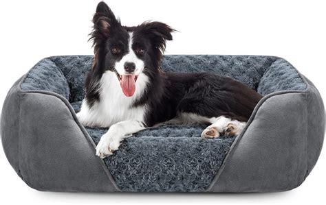 Cuccia cane mChi non si informa adeguatamente in anticipo corre il rischio di ricevere cuccia cane m che non hanno la funzione desiderata o sono realizzati con materiali di qualità inferiore. Se volete un prodotto che soddisfi al meglio le vostre aspettative, dovreste provare un cuccia cane m.
  <p>Per i prodotti si possono trovare test online e confronti tra i prodotti.  I confronti tra i prodotti possono aiutare a confrontare le diverse funzioni o proprietà dei diversi prodotti. Di seguito, spieghiamo perché la ricerca è importante e di cosa si dovrebbe essere consapevoli quando si acquista un articolo.
</p>

<h2>Acquisto di Cuccia cane m - criteri importanti</h2>

<p>Una lista di controllo può aiutarti a evitare di dover cercare informazioni sui prodotti su decine di siti web. Di seguito è riportato un esempio di una lista di controllo che può aiutarvi a trovare il prodotto giusto. Importanti criteri di acquisto includono, ad esempio:
</p><ul>
<li>Opinioni dei clienti</li>
<li>Confronti dei prezzi</li>
<li>Dettagli del prodotto</li>
<li>Termini e condizioni di consegna</li>
<li>Domande dei clienti e risposte dei marchi</li>
</ul>
<h2>Qual è l