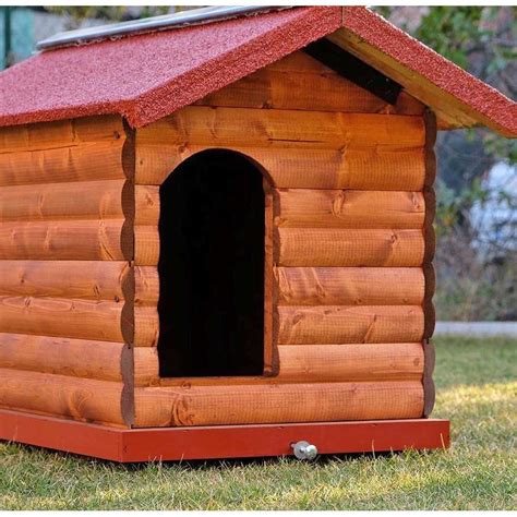 Cuccia caneChi non si informa adeguatamente in anticipo corre il rischio di ricevere cuccia cane che non hanno la funzione desiderata o sono realizzati con materiali di qualità inferiore. Se volete un prodotto che soddisfi al meglio le vostre aspettative, dovreste provare un cuccia cane.
  <p>Per i prodotti si possono trovare test online e confronti tra i prodotti.  I confronti tra i prodotti possono aiutare a confrontare le diverse funzioni o proprietà dei diversi prodotti. Di seguito, spieghiamo perché la ricerca è importante e di cosa si dovrebbe essere consapevoli quando si acquista un articolo.
</p>

<h2>Acquisto di Cuccia cane - criteri importanti</h2>

<p>Una lista di controllo può aiutarti a evitare di dover cercare informazioni sui prodotti su decine di siti web. Di seguito è riportato un esempio di una lista di controllo che può aiutarvi a trovare il prodotto giusto. Importanti criteri di acquisto includono, ad esempio:
</p><ul>
<li>Opinioni dei clienti</li>
<li>Confronti dei prezzi</li>
<li>Dettagli del prodotto</li>
<li>Termini e condizioni di consegna</li>
<li>Domande dei clienti e risposte dei marchi</li>
</ul>
<h2>Qual è l
