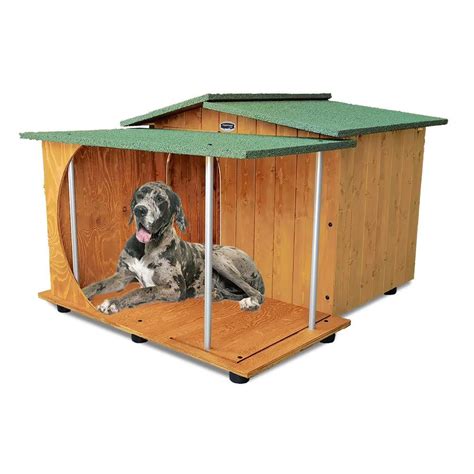Cuccia caniChi non si informa adeguatamente in anticipo corre il rischio di ricevere cuccia cani che non hanno la funzione desiderata o sono realizzati con materiali di qualità inferiore. Se volete un prodotto che soddisfi al meglio le vostre aspettative, dovreste provare un cuccia cani.
  <p>Per i prodotti si possono trovare test online e confronti tra i prodotti.  I confronti tra i prodotti possono aiutare a confrontare le diverse funzioni o proprietà dei diversi prodotti. Di seguito, spieghiamo perché la ricerca è importante e di cosa si dovrebbe essere consapevoli quando si acquista un articolo.
</p>

<h2>Acquisto di Cuccia cani - criteri importanti</h2>

<p>Una lista di controllo può aiutarti a evitare di dover cercare informazioni sui prodotti su decine di siti web. Di seguito è riportato un esempio di una lista di controllo che può aiutarvi a trovare il prodotto giusto. Importanti criteri di acquisto includono, ad esempio:
</p><ul>
<li>Opinioni dei clienti</li>
<li>Confronti dei prezzi</li>
<li>Dettagli del prodotto</li>
<li>Termini e condizioni di consegna</li>
<li>Domande dei clienti e risposte dei marchi</li>
</ul>
<h2>Qual è l