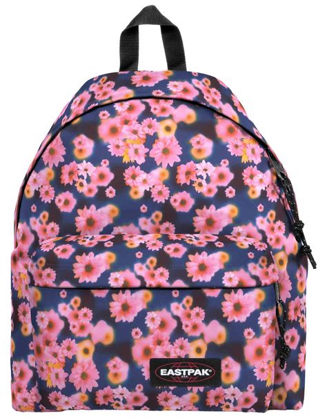 Eastpak paddedChi non si informa adeguatamente in anticipo corre il rischio di ricevere eastpak padded che non hanno la funzione desiderata o sono realizzati con materiali di qualità inferiore. Se volete un prodotto che soddisfi al meglio le vostre aspettative, dovreste provare un eastpak padded.
  <p>Per i prodotti si possono trovare test online e confronti tra i prodotti.  I confronti tra i prodotti possono aiutare a confrontare le diverse funzioni o proprietà dei diversi prodotti. Di seguito, spieghiamo perché la ricerca è importante e di cosa si dovrebbe essere consapevoli quando si acquista un articolo.
</p>

<h2>Acquisto di Eastpak padded - criteri importanti</h2>

<p>Una lista di controllo può aiutarti a evitare di dover cercare informazioni sui prodotti su decine di siti web. Di seguito è riportato un esempio di una lista di controllo che può aiutarvi a trovare il prodotto giusto. Importanti criteri di acquisto includono, ad esempio:
</p><ul>
<li>Opinioni dei clienti</li>
<li>Confronti dei prezzi</li>
<li>Dettagli del prodotto</li>
<li>Termini e condizioni di consegna</li>
<li>Domande dei clienti e risposte dei marchi</li>
</ul>
<h2>Qual è l