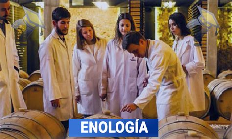 EnologiaChi non si informa adeguatamente in anticipo corre il rischio di ricevere enologia che non hanno la funzione desiderata o sono realizzati con materiali di qualità inferiore. Se volete un prodotto che soddisfi al meglio le vostre aspettative, dovreste provare un enologia.
  <p>Per i prodotti si possono trovare test online e confronti tra i prodotti.  I confronti tra i prodotti possono aiutare a confrontare le diverse funzioni o proprietà dei diversi prodotti. Di seguito, spieghiamo perché la ricerca è importante e di cosa si dovrebbe essere consapevoli quando si acquista un articolo.
</p>

<h2>Acquisto di Enologia - criteri importanti</h2>

<p>Una lista di controllo può aiutarti a evitare di dover cercare informazioni sui prodotti su decine di siti web. Di seguito è riportato un esempio di una lista di controllo che può aiutarvi a trovare il prodotto giusto. Importanti criteri di acquisto includono, ad esempio:
</p><ul>
<li>Opinioni dei clienti</li>
<li>Confronti dei prezzi</li>
<li>Dettagli del prodotto</li>
<li>Termini e condizioni di consegna</li>
<li>Domande dei clienti e risposte dei marchi</li>
</ul>
<h2>Qual è l