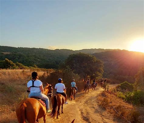 Escursioni cavalloChi non si informa adeguatamente in anticipo corre il rischio di ricevere escursioni cavallo che non hanno la funzione desiderata o sono realizzati con materiali di qualità inferiore. Se volete un prodotto che soddisfi al meglio le vostre aspettative, dovreste provare un escursioni cavallo.
  <p>Per i prodotti si possono trovare test online e confronti tra i prodotti.  I confronti tra i prodotti possono aiutare a confrontare le diverse funzioni o proprietà dei diversi prodotti. Di seguito, spieghiamo perché la ricerca è importante e di cosa si dovrebbe essere consapevoli quando si acquista un articolo.
</p>

<h2>Acquisto di Escursioni cavallo - criteri importanti</h2>

<p>Una lista di controllo può aiutarti a evitare di dover cercare informazioni sui prodotti su decine di siti web. Di seguito è riportato un esempio di una lista di controllo che può aiutarvi a trovare il prodotto giusto. Importanti criteri di acquisto includono, ad esempio:
</p><ul>
<li>Opinioni dei clienti</li>
<li>Confronti dei prezzi</li>
<li>Dettagli del prodotto</li>
<li>Termini e condizioni di consegna</li>
<li>Domande dei clienti e risposte dei marchi</li>
</ul>
<h2>Qual è l