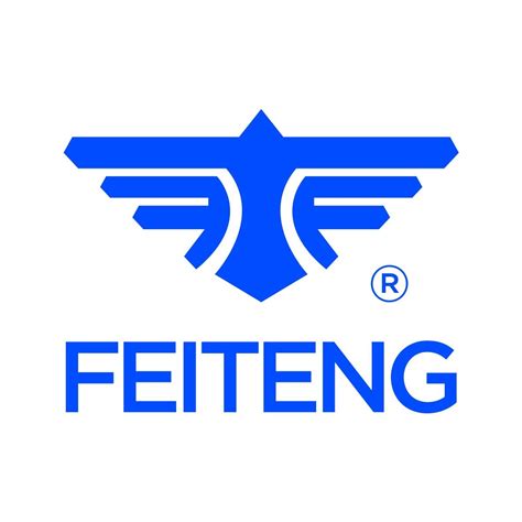 FeitengChi non si informa adeguatamente in anticipo corre il rischio di ricevere feiteng che non hanno la funzione desiderata o sono realizzati con materiali di qualità inferiore. Se volete un prodotto che soddisfi al meglio le vostre aspettative, dovreste provare un feiteng.
  <p>Per i prodotti si possono trovare test online e confronti tra i prodotti.  I confronti tra i prodotti possono aiutare a confrontare le diverse funzioni o proprietà dei diversi prodotti. Di seguito, spieghiamo perché la ricerca è importante e di cosa si dovrebbe essere consapevoli quando si acquista un articolo.
</p>

<h2>Acquisto di Feiteng - criteri importanti</h2>

<p>Una lista di controllo può aiutarti a evitare di dover cercare informazioni sui prodotti su decine di siti web. Di seguito è riportato un esempio di una lista di controllo che può aiutarvi a trovare il prodotto giusto. Importanti criteri di acquisto includono, ad esempio:
</p><ul>
<li>Opinioni dei clienti</li>
<li>Confronti dei prezzi</li>
<li>Dettagli del prodotto</li>
<li>Termini e condizioni di consegna</li>
<li>Domande dei clienti e risposte dei marchi</li>
</ul>
<h2>Qual è l