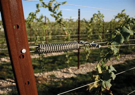 Filo accessori vignetoChi non si informa adeguatamente in anticipo corre il rischio di ricevere filo accessori vigneto che non hanno la funzione desiderata o sono realizzati con materiali di qualità inferiore. Se volete un prodotto che soddisfi al meglio le vostre aspettative, dovreste provare un filo accessori vigneto.
  <p>Per i prodotti si possono trovare test online e confronti tra i prodotti.  I confronti tra i prodotti possono aiutare a confrontare le diverse funzioni o proprietà dei diversi prodotti. Di seguito, spieghiamo perché la ricerca è importante e di cosa si dovrebbe essere consapevoli quando si acquista un articolo.
</p>

<h2>Acquisto di Filo accessori vigneto - criteri importanti</h2>

<p>Una lista di controllo può aiutarti a evitare di dover cercare informazioni sui prodotti su decine di siti web. Di seguito è riportato un esempio di una lista di controllo che può aiutarvi a trovare il prodotto giusto. Importanti criteri di acquisto includono, ad esempio:
</p><ul>
<li>Opinioni dei clienti</li>
<li>Confronti dei prezzi</li>
<li>Dettagli del prodotto</li>
<li>Termini e condizioni di consegna</li>
<li>Domande dei clienti e risposte dei marchi</li>
</ul>
<h2>Qual è l