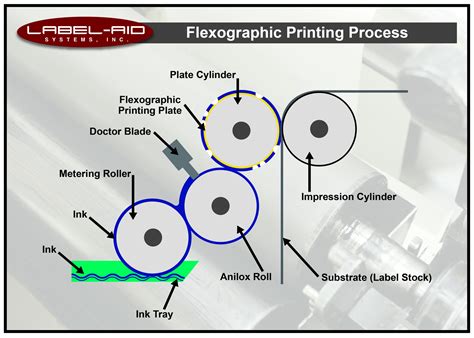 FlexoChi non si informa adeguatamente in anticipo corre il rischio di ricevere flexo che non hanno la funzione desiderata o sono realizzati con materiali di qualità inferiore. Se volete un prodotto che soddisfi al meglio le vostre aspettative, dovreste provare un flexo.
  <p>Per i prodotti si possono trovare test online e confronti tra i prodotti.  I confronti tra i prodotti possono aiutare a confrontare le diverse funzioni o proprietà dei diversi prodotti. Di seguito, spieghiamo perché la ricerca è importante e di cosa si dovrebbe essere consapevoli quando si acquista un articolo.
</p>

<h2>Acquisto di Flexo - criteri importanti</h2>

<p>Una lista di controllo può aiutarti a evitare di dover cercare informazioni sui prodotti su decine di siti web. Di seguito è riportato un esempio di una lista di controllo che può aiutarvi a trovare il prodotto giusto. Importanti criteri di acquisto includono, ad esempio:
</p><ul>
<li>Opinioni dei clienti</li>
<li>Confronti dei prezzi</li>
<li>Dettagli del prodotto</li>
<li>Termini e condizioni di consegna</li>
<li>Domande dei clienti e risposte dei marchi</li>
</ul>
<h2>Qual è l