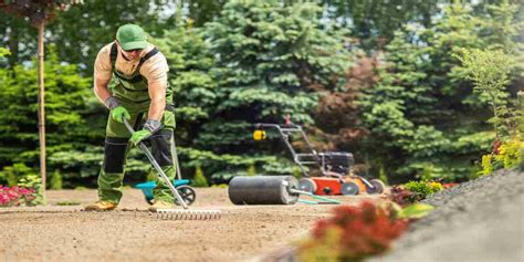 GiardiniereChi non si informa adeguatamente in anticipo corre il rischio di ricevere giardiniere che non hanno la funzione desiderata o sono realizzati con materiali di qualità inferiore. Se volete un prodotto che soddisfi al meglio le vostre aspettative, dovreste provare un giardiniere.
  <p>Per i prodotti si possono trovare test online e confronti tra i prodotti.  I confronti tra i prodotti possono aiutare a confrontare le diverse funzioni o proprietà dei diversi prodotti. Di seguito, spieghiamo perché la ricerca è importante e di cosa si dovrebbe essere consapevoli quando si acquista un articolo.
</p>

<h2>Acquisto di Giardiniere - criteri importanti</h2>

<p>Una lista di controllo può aiutarti a evitare di dover cercare informazioni sui prodotti su decine di siti web. Di seguito è riportato un esempio di una lista di controllo che può aiutarvi a trovare il prodotto giusto. Importanti criteri di acquisto includono, ad esempio:
</p><ul>
<li>Opinioni dei clienti</li>
<li>Confronti dei prezzi</li>
<li>Dettagli del prodotto</li>
<li>Termini e condizioni di consegna</li>
<li>Domande dei clienti e risposte dei marchi</li>
</ul>
<h2>Qual è l