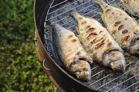 Griglia pesceChi non si informa adeguatamente in anticipo corre il rischio di ricevere griglia pesce che non hanno la funzione desiderata o sono realizzati con materiali di qualità inferiore. Se volete un prodotto che soddisfi al meglio le vostre aspettative, dovreste provare un griglia pesce.
  <p>Per i prodotti si possono trovare test online e confronti tra i prodotti.  I confronti tra i prodotti possono aiutare a confrontare le diverse funzioni o proprietà dei diversi prodotti. Di seguito, spieghiamo perché la ricerca è importante e di cosa si dovrebbe essere consapevoli quando si acquista un articolo.
</p>

<h2>Acquisto di Griglia pesce - criteri importanti</h2>

<p>Una lista di controllo può aiutarti a evitare di dover cercare informazioni sui prodotti su decine di siti web. Di seguito è riportato un esempio di una lista di controllo che può aiutarvi a trovare il prodotto giusto. Importanti criteri di acquisto includono, ad esempio:
</p><ul>
<li>Opinioni dei clienti</li>
<li>Confronti dei prezzi</li>
<li>Dettagli del prodotto</li>
<li>Termini e condizioni di consegna</li>
<li>Domande dei clienti e risposte dei marchi</li>
</ul>
<h2>Qual è l