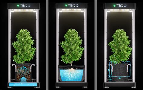 Grow boxChi non si informa adeguatamente in anticipo corre il rischio di ricevere grow box che non hanno la funzione desiderata o sono realizzati con materiali di qualità inferiore. Se volete un prodotto che soddisfi al meglio le vostre aspettative, dovreste provare un grow box.
  <p>Per i prodotti si possono trovare test online e confronti tra i prodotti.  I confronti tra i prodotti possono aiutare a confrontare le diverse funzioni o proprietà dei diversi prodotti. Di seguito, spieghiamo perché la ricerca è importante e di cosa si dovrebbe essere consapevoli quando si acquista un articolo.
</p>

<h2>Acquisto di Grow box - criteri importanti</h2>

<p>Una lista di controllo può aiutarti a evitare di dover cercare informazioni sui prodotti su decine di siti web. Di seguito è riportato un esempio di una lista di controllo che può aiutarvi a trovare il prodotto giusto. Importanti criteri di acquisto includono, ad esempio:
</p><ul>
<li>Opinioni dei clienti</li>
<li>Confronti dei prezzi</li>
<li>Dettagli del prodotto</li>
<li>Termini e condizioni di consegna</li>
<li>Domande dei clienti e risposte dei marchi</li>
</ul>
<h2>Qual è l