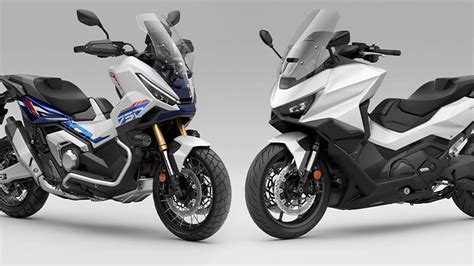 Honda scalaChi non si informa adeguatamente in anticipo corre il rischio di ricevere honda scala che non hanno la funzione desiderata o sono realizzati con materiali di qualità inferiore. Se volete un prodotto che soddisfi al meglio le vostre aspettative, dovreste provare un honda scala.
  <p>Per i prodotti si possono trovare test online e confronti tra i prodotti.  I confronti tra i prodotti possono aiutare a confrontare le diverse funzioni o proprietà dei diversi prodotti. Di seguito, spieghiamo perché la ricerca è importante e di cosa si dovrebbe essere consapevoli quando si acquista un articolo.
</p>

<h2>Acquisto di Honda scala - criteri importanti</h2>

<p>Una lista di controllo può aiutarti a evitare di dover cercare informazioni sui prodotti su decine di siti web. Di seguito è riportato un esempio di una lista di controllo che può aiutarvi a trovare il prodotto giusto. Importanti criteri di acquisto includono, ad esempio:
</p><ul>
<li>Opinioni dei clienti</li>
<li>Confronti dei prezzi</li>
<li>Dettagli del prodotto</li>
<li>Termini e condizioni di consegna</li>
<li>Domande dei clienti e risposte dei marchi</li>
</ul>
<h2>Qual è l