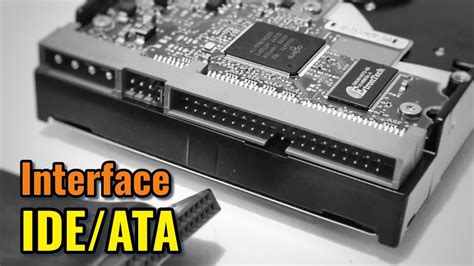 Ide ataChi non si informa adeguatamente in anticipo corre il rischio di ricevere ide ata che non hanno la funzione desiderata o sono realizzati con materiali di qualità inferiore. Se volete un prodotto che soddisfi al meglio le vostre aspettative, dovreste provare un ide ata.
  <p>Per i prodotti si possono trovare test online e confronti tra i prodotti.  I confronti tra i prodotti possono aiutare a confrontare le diverse funzioni o proprietà dei diversi prodotti. Di seguito, spieghiamo perché la ricerca è importante e di cosa si dovrebbe essere consapevoli quando si acquista un articolo.
</p>

<h2>Acquisto di Ide ata - criteri importanti</h2>

<p>Una lista di controllo può aiutarti a evitare di dover cercare informazioni sui prodotti su decine di siti web. Di seguito è riportato un esempio di una lista di controllo che può aiutarvi a trovare il prodotto giusto. Importanti criteri di acquisto includono, ad esempio:
</p><ul>
<li>Opinioni dei clienti</li>
<li>Confronti dei prezzi</li>
<li>Dettagli del prodotto</li>
<li>Termini e condizioni di consegna</li>
<li>Domande dei clienti e risposte dei marchi</li>
</ul>
<h2>Qual è l
