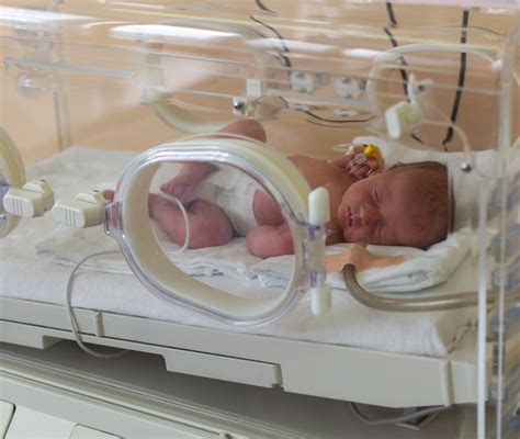 IncubatriceChi non si informa adeguatamente in anticipo corre il rischio di ricevere incubatrice che non hanno la funzione desiderata o sono realizzati con materiali di qualità inferiore. Se volete un prodotto che soddisfi al meglio le vostre aspettative, dovreste provare un incubatrice.
  <p>Per i prodotti si possono trovare test online e confronti tra i prodotti.  I confronti tra i prodotti possono aiutare a confrontare le diverse funzioni o proprietà dei diversi prodotti. Di seguito, spieghiamo perché la ricerca è importante e di cosa si dovrebbe essere consapevoli quando si acquista un articolo.
</p>

<h2>Acquisto di Incubatrice - criteri importanti</h2>

<p>Una lista di controllo può aiutarti a evitare di dover cercare informazioni sui prodotti su decine di siti web. Di seguito è riportato un esempio di una lista di controllo che può aiutarvi a trovare il prodotto giusto. Importanti criteri di acquisto includono, ad esempio:
</p><ul>
<li>Opinioni dei clienti</li>
<li>Confronti dei prezzi</li>
<li>Dettagli del prodotto</li>
<li>Termini e condizioni di consegna</li>
<li>Domande dei clienti e risposte dei marchi</li>
</ul>
<h2>Qual è l