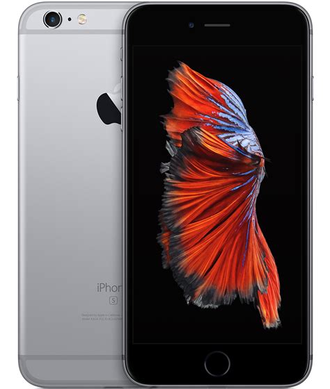Iphone 6s perfettoChi non si informa adeguatamente in anticipo corre il rischio di ricevere iphone 6s perfetto che non hanno la funzione desiderata o sono realizzati con materiali di qualità inferiore. Se volete un prodotto che soddisfi al meglio le vostre aspettative, dovreste provare un iphone 6s perfetto.
  <p>Per i prodotti si possono trovare test online e confronti tra i prodotti.  I confronti tra i prodotti possono aiutare a confrontare le diverse funzioni o proprietà dei diversi prodotti. Di seguito, spieghiamo perché la ricerca è importante e di cosa si dovrebbe essere consapevoli quando si acquista un articolo.
</p>

<h2>Acquisto di Iphone 6s perfetto - criteri importanti</h2>

<p>Una lista di controllo può aiutarti a evitare di dover cercare informazioni sui prodotti su decine di siti web. Di seguito è riportato un esempio di una lista di controllo che può aiutarvi a trovare il prodotto giusto. Importanti criteri di acquisto includono, ad esempio:
</p><ul>
<li>Opinioni dei clienti</li>
<li>Confronti dei prezzi</li>
<li>Dettagli del prodotto</li>
<li>Termini e condizioni di consegna</li>
<li>Domande dei clienti e risposte dei marchi</li>
</ul>
<h2>Qual è l