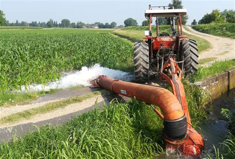 IrrigazioneChi non si informa adeguatamente in anticipo corre il rischio di ricevere irrigazione che non hanno la funzione desiderata o sono realizzati con materiali di qualità inferiore. Se volete un prodotto che soddisfi al meglio le vostre aspettative, dovreste provare un irrigazione.
  <p>Per i prodotti si possono trovare test online e confronti tra i prodotti.  I confronti tra i prodotti possono aiutare a confrontare le diverse funzioni o proprietà dei diversi prodotti. Di seguito, spieghiamo perché la ricerca è importante e di cosa si dovrebbe essere consapevoli quando si acquista un articolo.
</p>

<h2>Acquisto di Irrigazione - criteri importanti</h2>

<p>Una lista di controllo può aiutarti a evitare di dover cercare informazioni sui prodotti su decine di siti web. Di seguito è riportato un esempio di una lista di controllo che può aiutarvi a trovare il prodotto giusto. Importanti criteri di acquisto includono, ad esempio:
</p><ul>
<li>Opinioni dei clienti</li>
<li>Confronti dei prezzi</li>
<li>Dettagli del prodotto</li>
<li>Termini e condizioni di consegna</li>
<li>Domande dei clienti e risposte dei marchi</li>
</ul>
<h2>Qual è l
